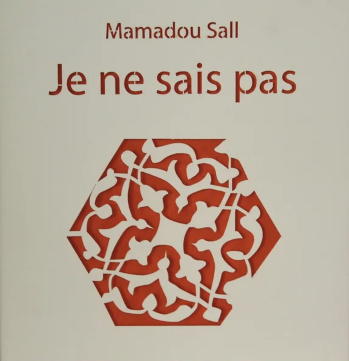 Livre Je ne sais pas de Mamadou Sall